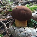 Haussee Дом отдыха