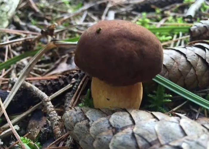 Haussee Casa vacanze